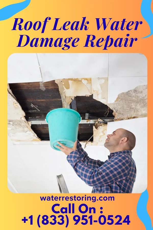 Roof Leak Water Damage Repair in Roxton, TX